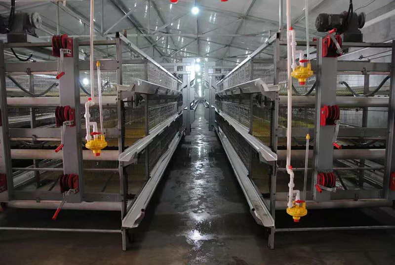 你知道肉鸡装备加料机的组成吗？？？？？