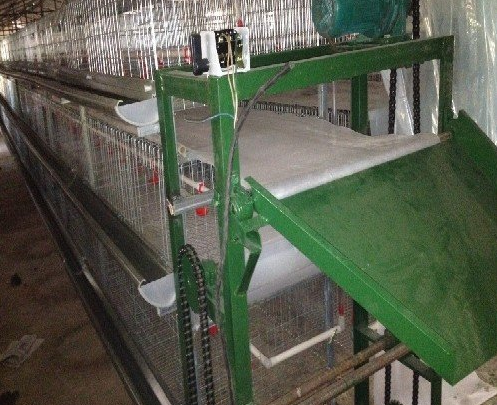 蛋鸡装备传送带式清粪机常见的这些问题你都知道吗？？？？？？？