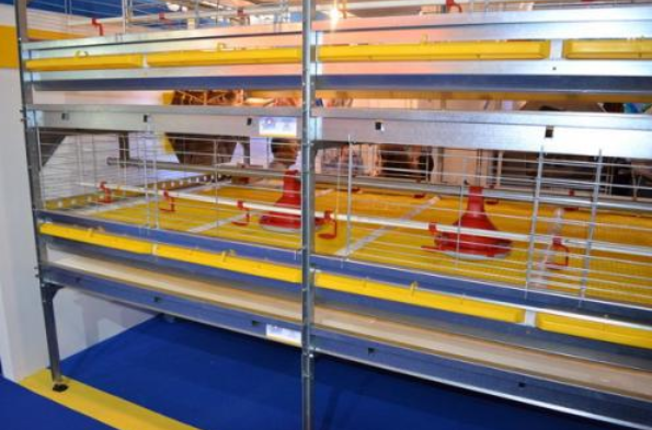 怎样给肉鸡装备风机镌汰噪音吗？？？？？