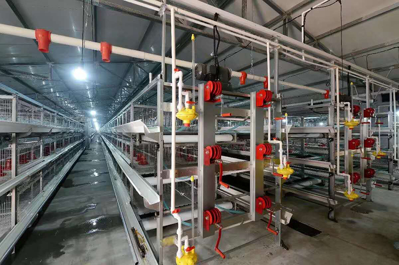 全自动养鸡装备的种类及特点你知道吗？？？？？？