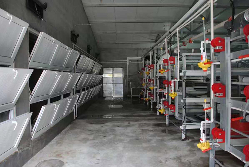 怎样治理肉鸡养殖场的肉鸡装备？？？？？