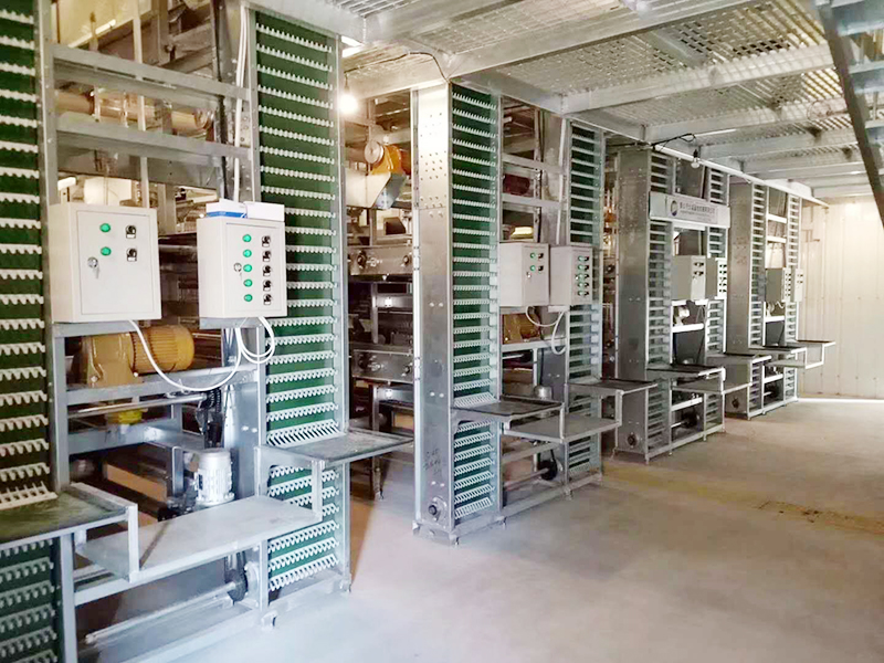 蛋鸡装备的养殖密度是怎样的呢？？？？？？