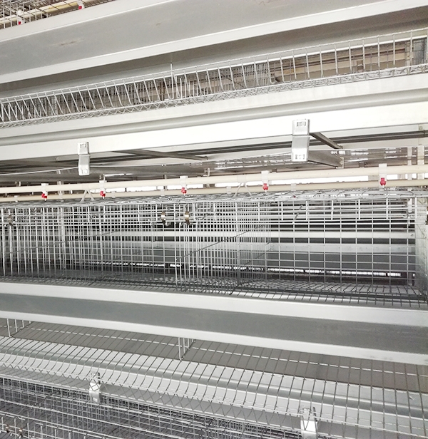 蛋鸡装备应该怎样选取。。。。。？？？？？？？蹊径式好照旧层叠式好呢？？？？？？？